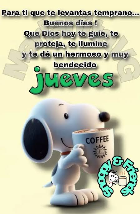 🥋🥇 tweet media