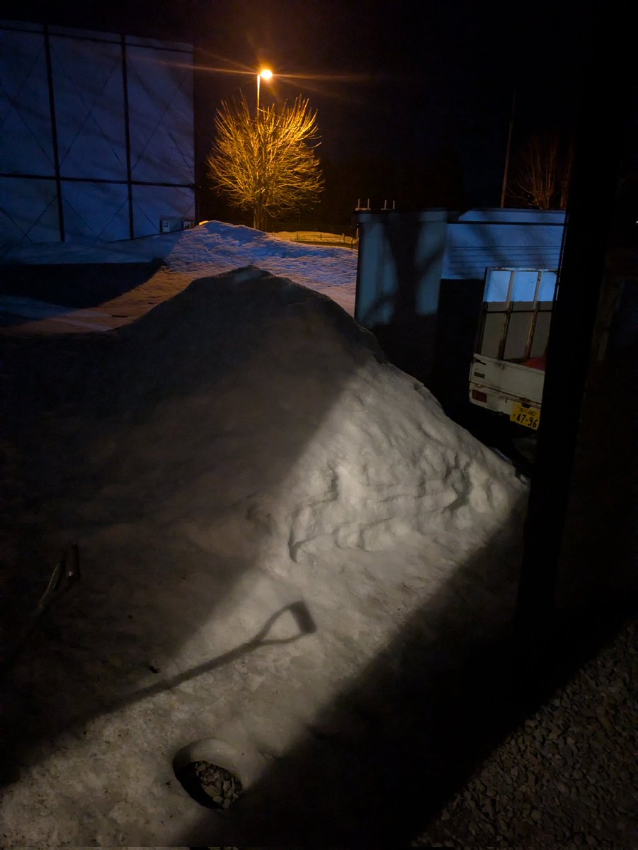 桂 文五郎 tweet media