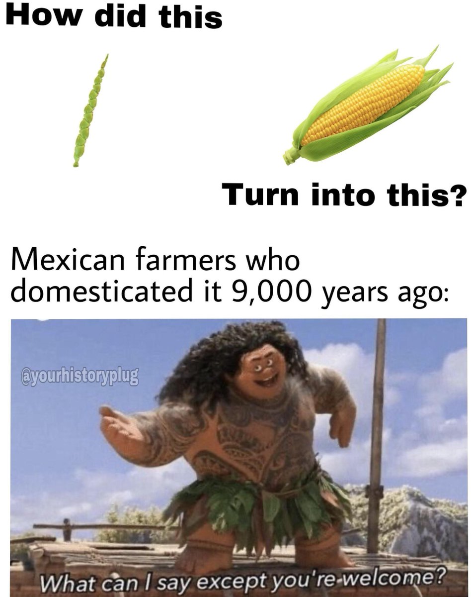 medieval memelord tweet media