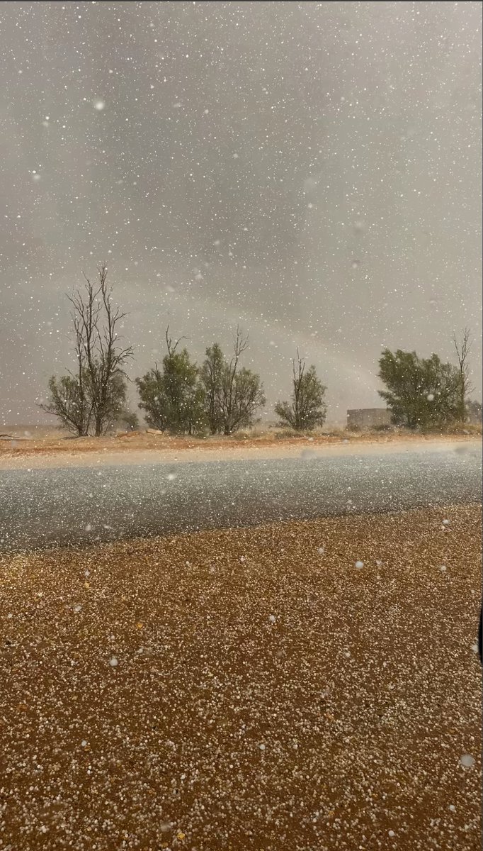 AlShamal Pinterest tweet media