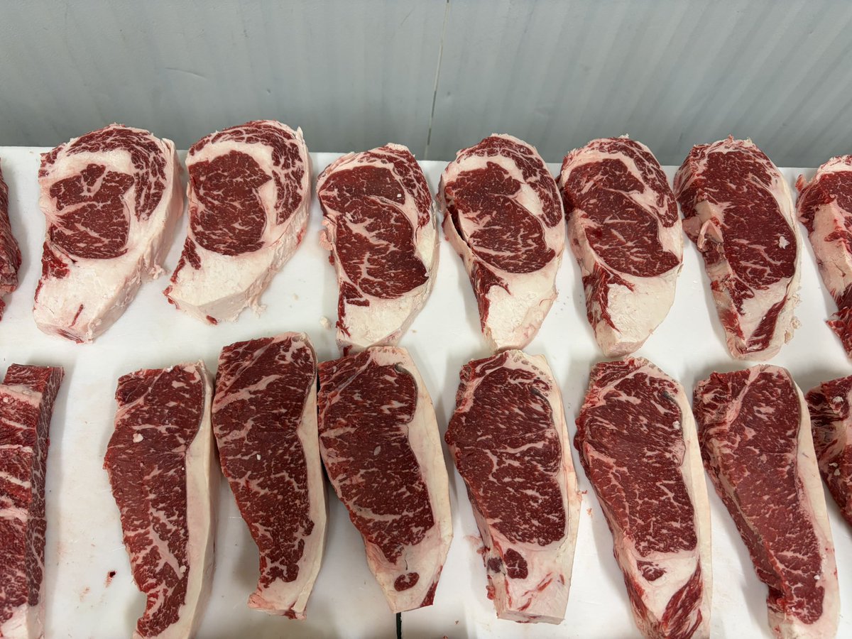 Kaitlyn (Elkins) Olsker tweet media