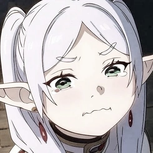 ₊﹒⌣ ℱ𝑟𝑖𝑒𝑟𝑒𝑛. tweet media