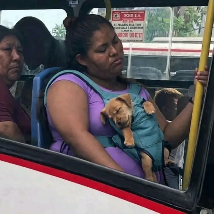 @SanxBrillas tweet media