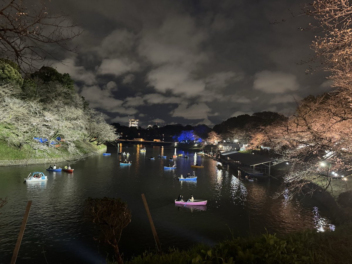 千代田区観光協会 tweet media