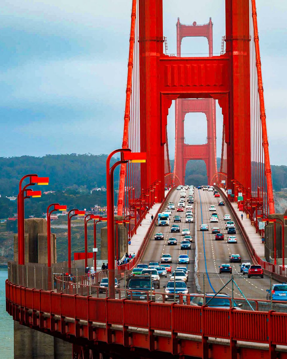 Seascape Nature tweet media