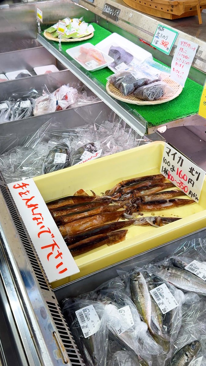 beautiful_Izu's tweet photo. 「稲取漁港直売所 こらっしぇ」
朝獲れの鮮魚が並ぶ直売所で休憩&amp;お買い物🐟
農協とも連携していて新鮮な野菜や果物、伊豆土産など多数🥬🍋
搾りたてのみかんジュースも絶品です🍊 https://t.co/1ct8DluIlY