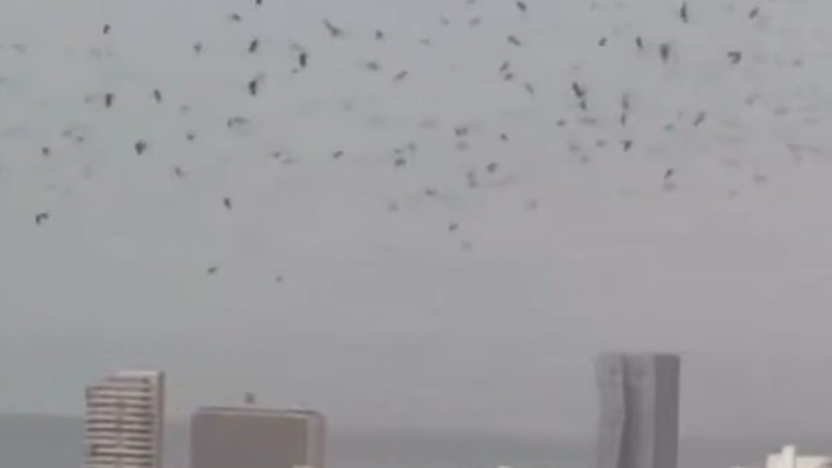 Sputnik Türkiye tweet media