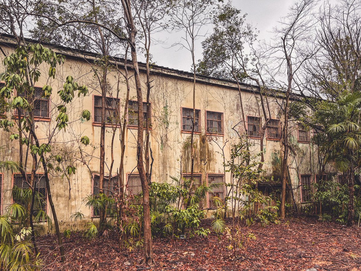 𓃰 𝕣𝕒𝕟 𓃰 フィルムで廃墟 tweet media