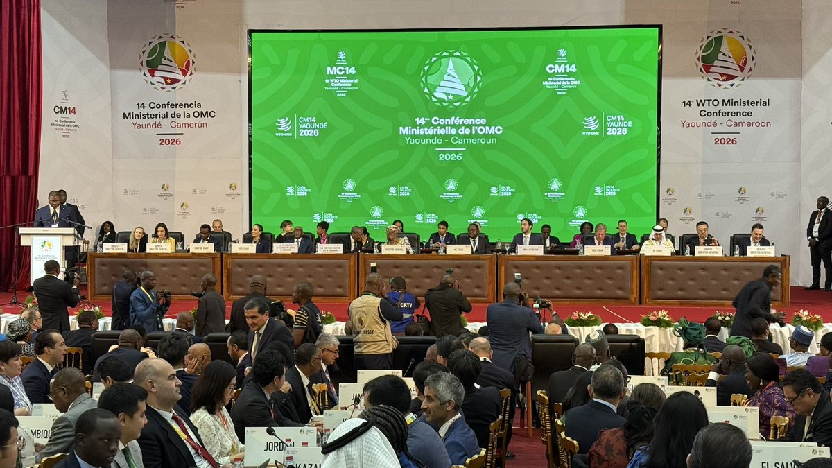 The Cameroonian 🇨🇲 tweet media