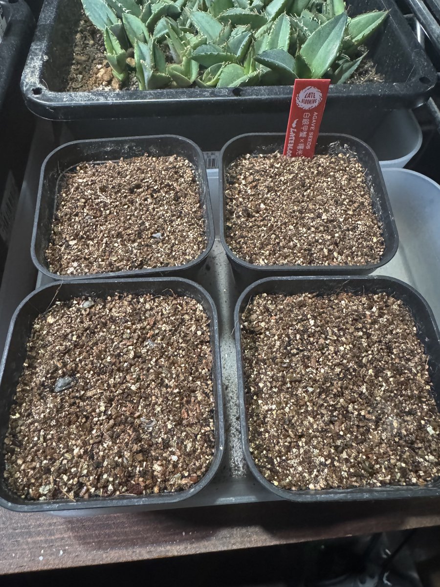 けう♂ tweet media