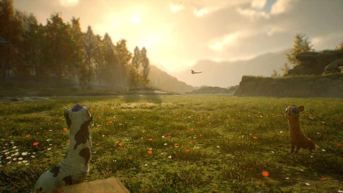 DigiFanTam ゲーマー料理愛好家🐈 tweet media