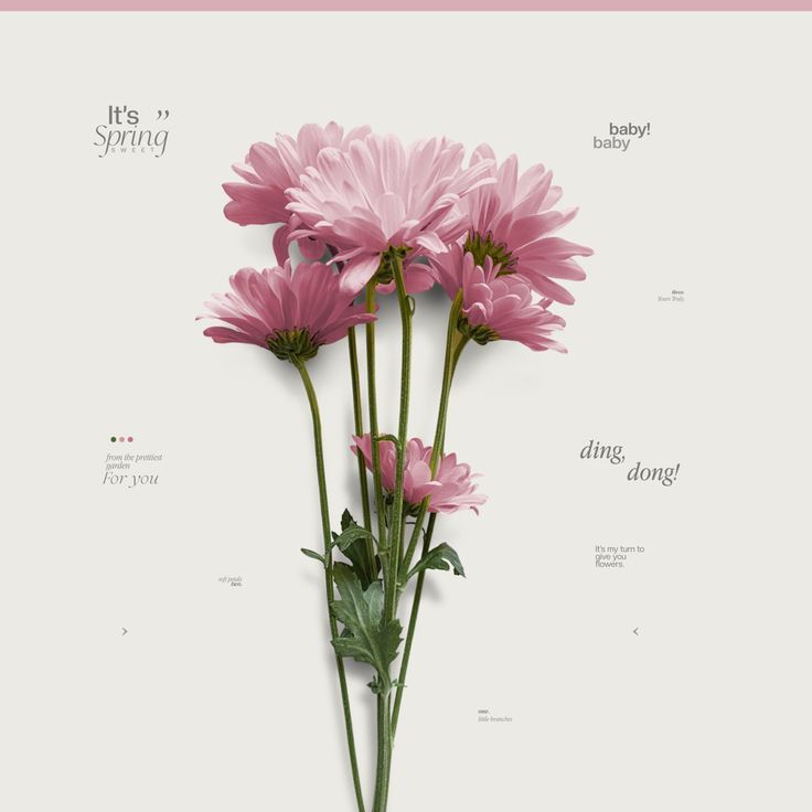 ⠀⠀⠀⠀⠀⠀⠀ ׁ ⚉ ͟◜₊ ིྀ͡⠀   𝒮𝗎𝗀𝖺𝗋    𝒮𝗉𝗂𝖼𝖾   &amp;   ꫀ𝗏𝖾𝗋𝗍𝗁𝗂𝗇𝗀   ꪀ𝗂𝖼𝖾