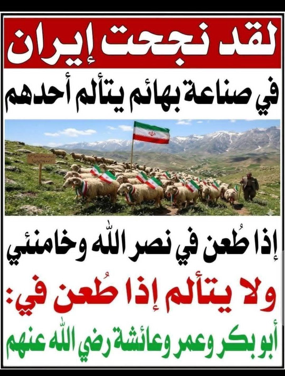 صَقرُ الحُدود 🦅 🇸🇦💚 tweet media