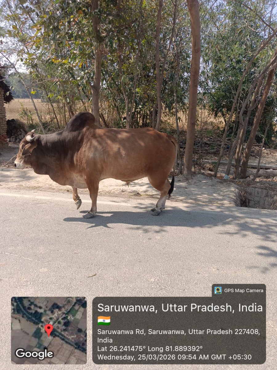 वेद प्रकाश भारत tweet media