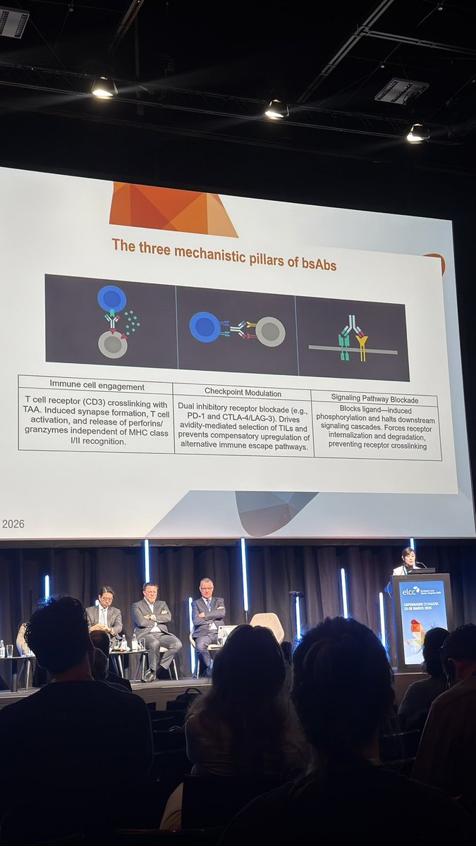 Mario Balsa tweet media