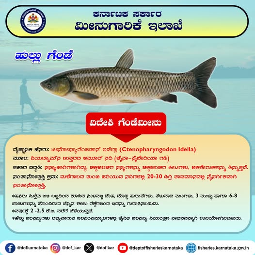 Dept of Fisheries, Karnataka tweet media