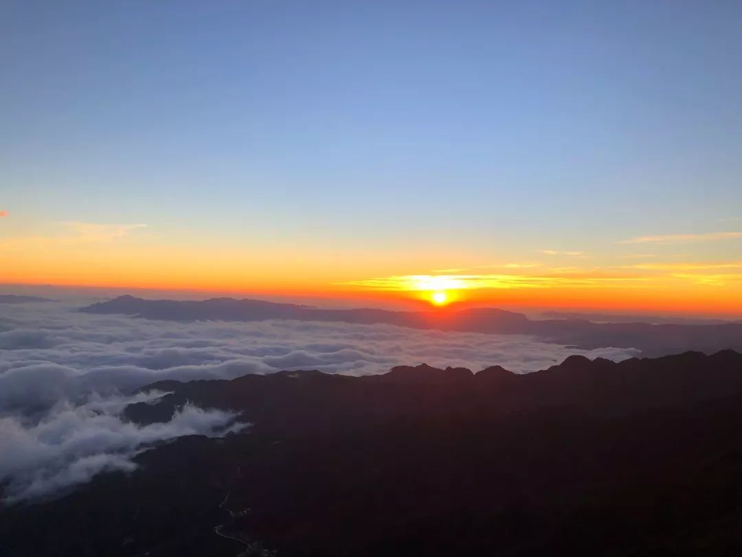 millie rippon tweet media