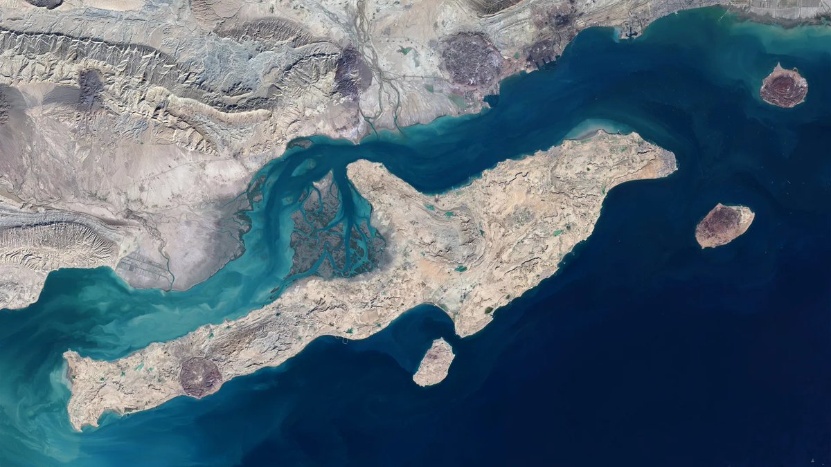 Jared Asman tweet media