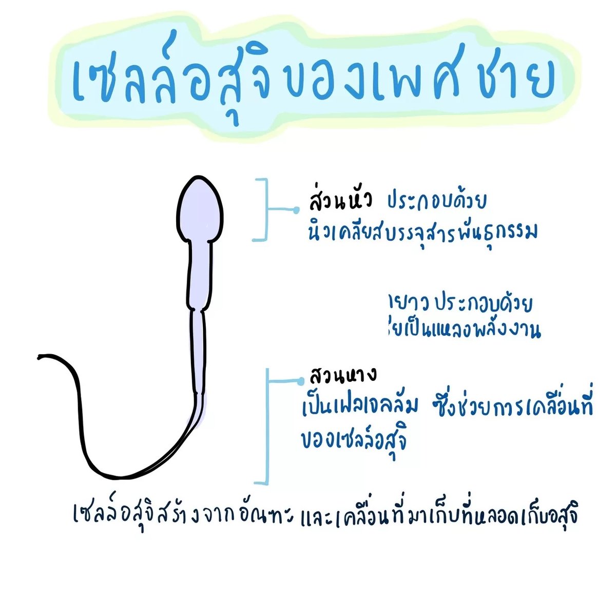 Clearnote Thailand tweet media
