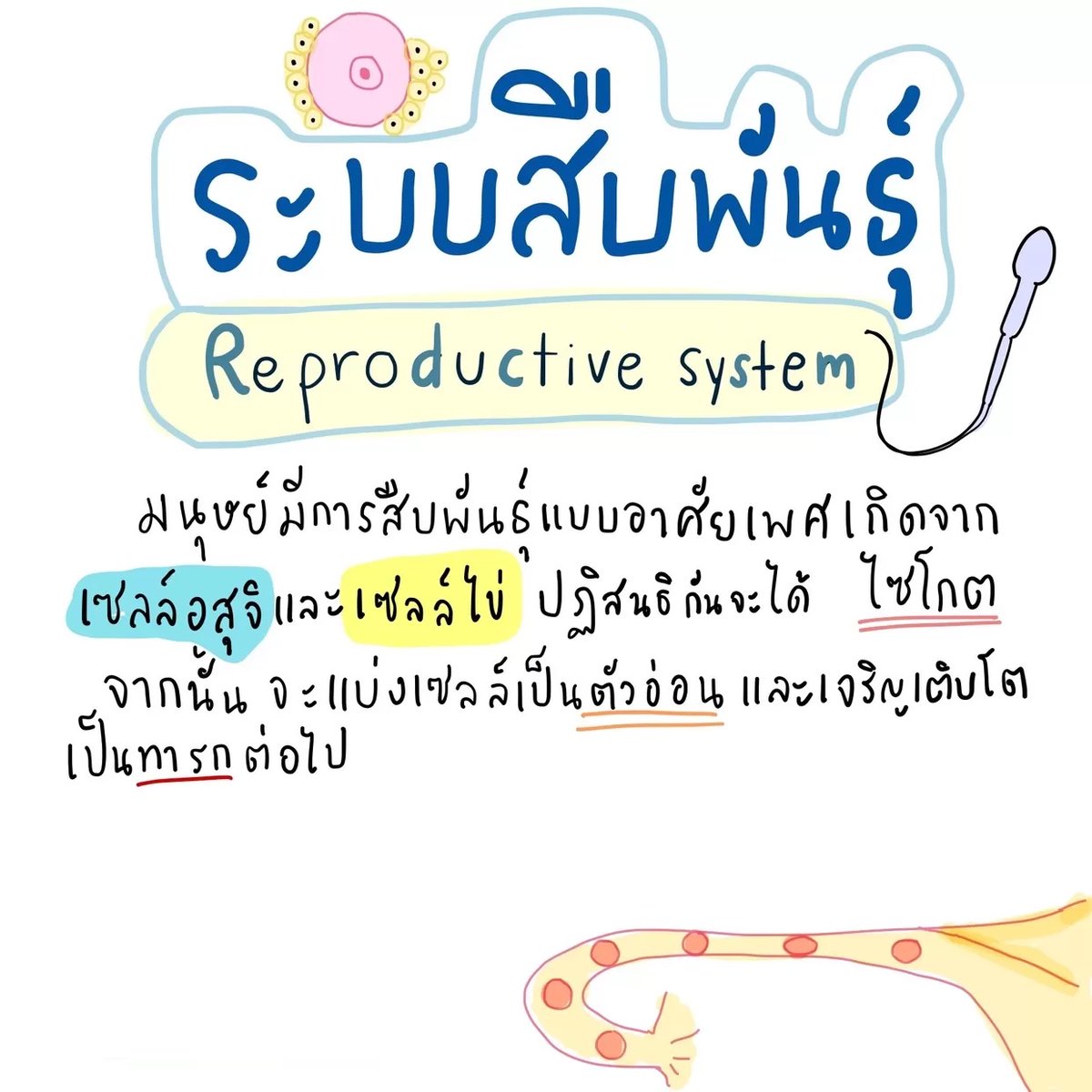 Clearnote Thailand tweet media