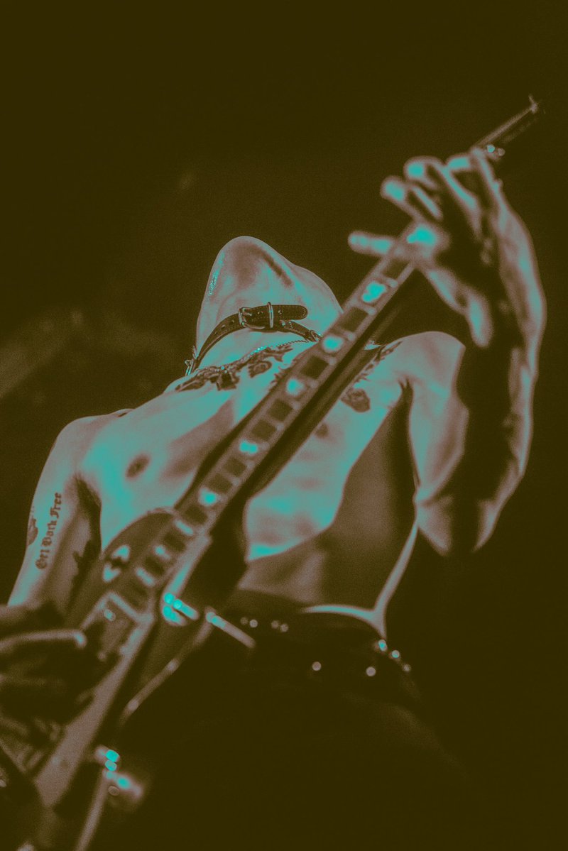 Baja / バハ tweet media