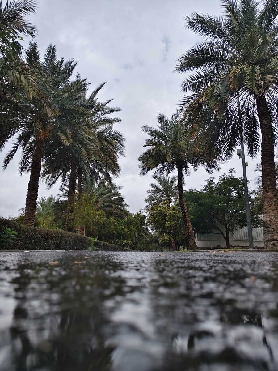 غَـيْـمَـةٌ tweet media