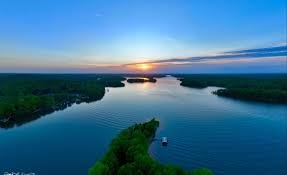 Mikey 🇺🇸 tweet media