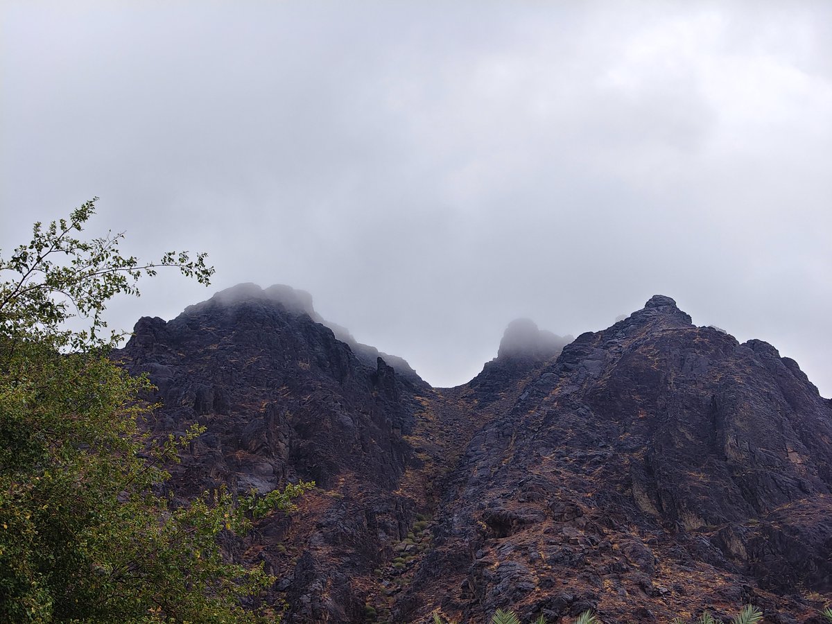 غَـيْـمَـةٌ tweet media