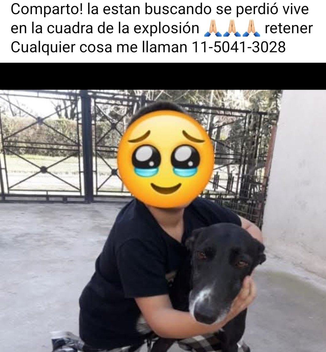 Adriana Carrasco tweet media