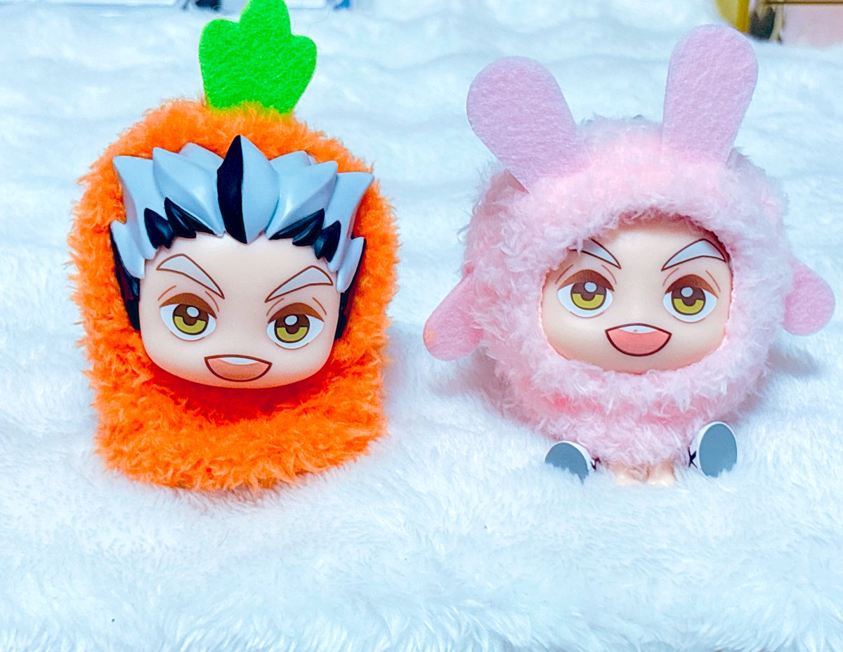 名無しちゃん⸜🌷︎⸝ちみけも生活垢 tweet media