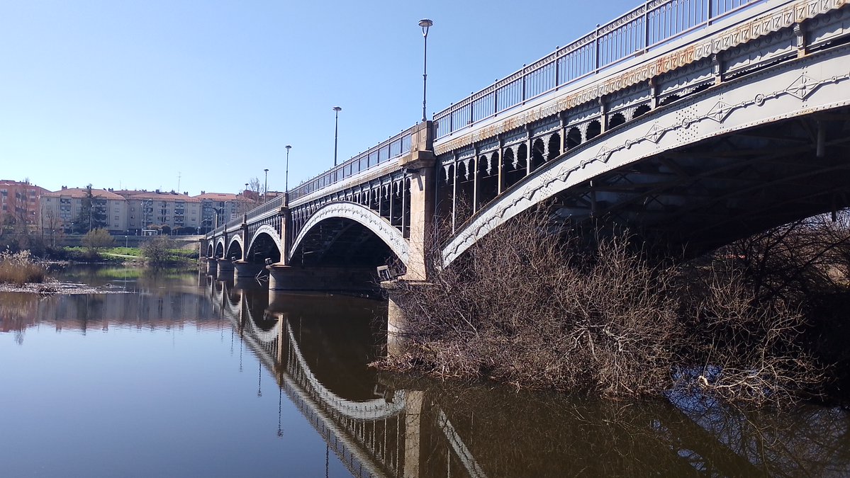 IES MATEO HERNÁNDEZ tweet media