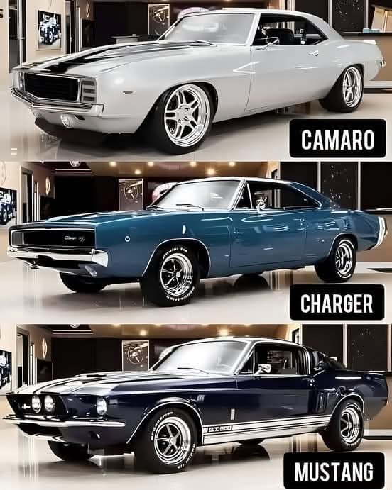 Vintage Cars Collection tweet media