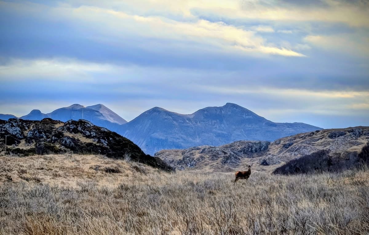 methleybookgroup tweet media