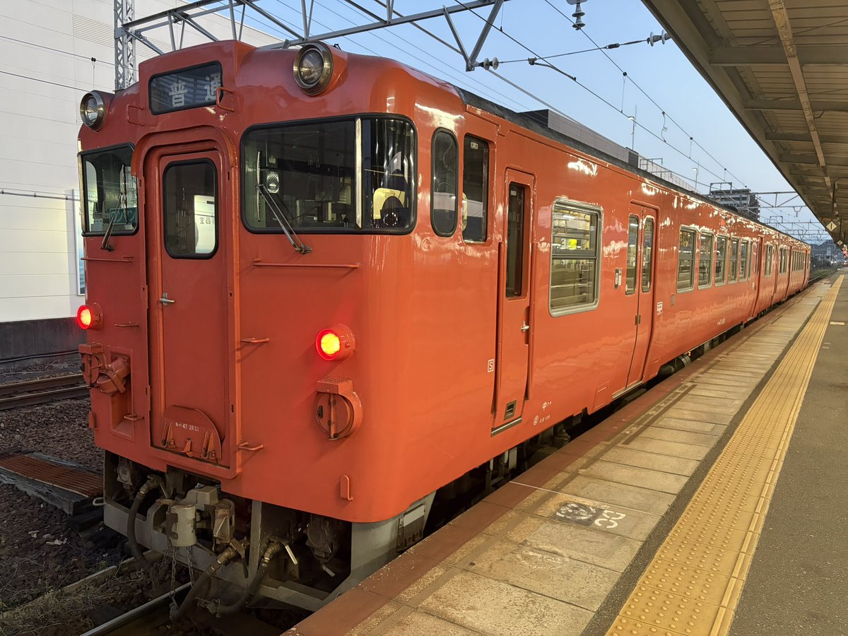 カーリア🔱🍏 tweet media