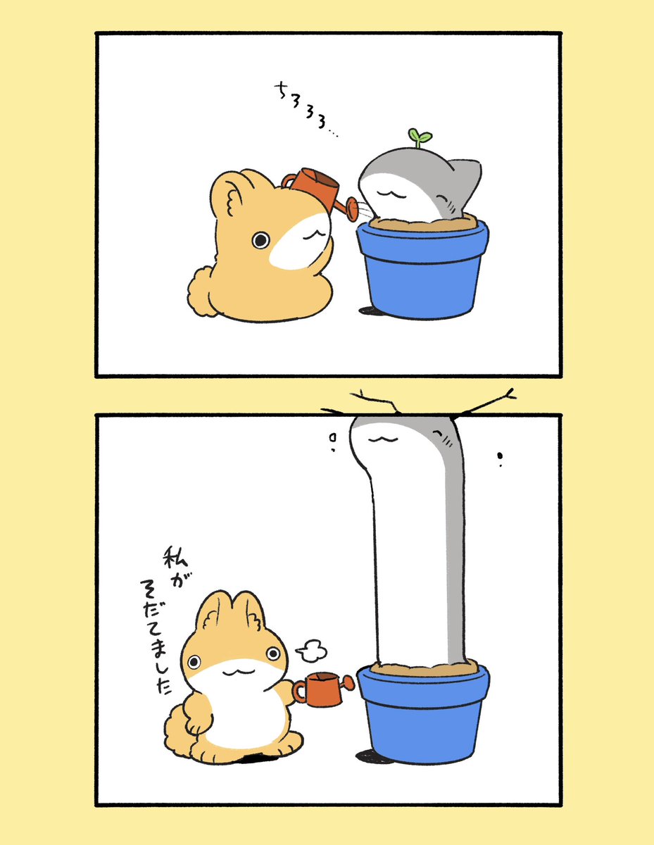 ペンギンボックス@アニメ2期決定&8巻 tweet media