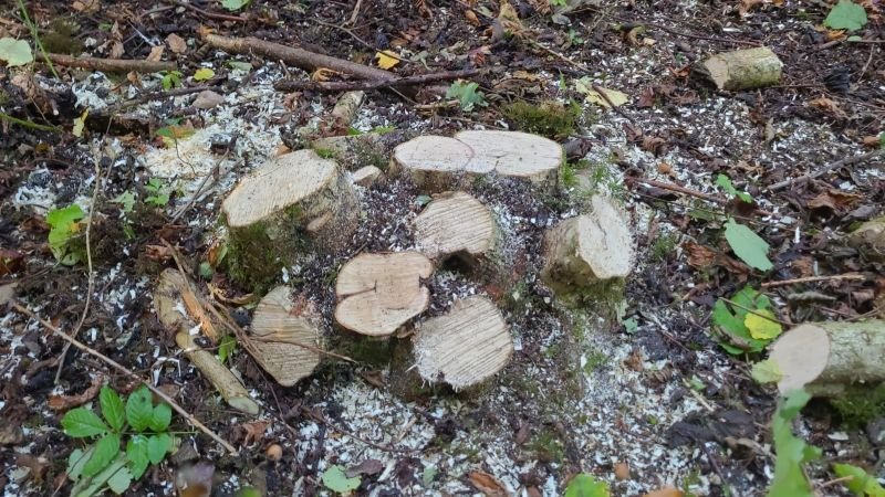 VanRaalte, Agro-Nationalist tweet media