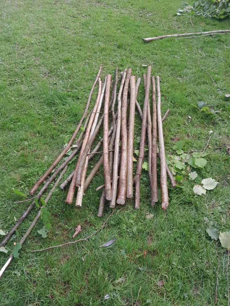 VanRaalte, Agro-Nationalist tweet media