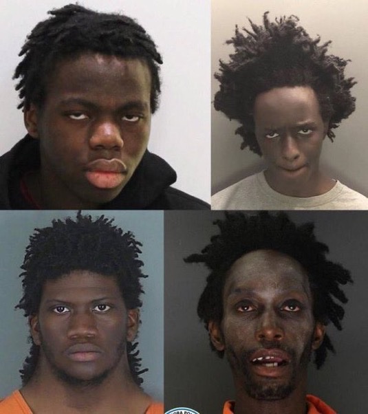 K氏🇯🇵 tweet media