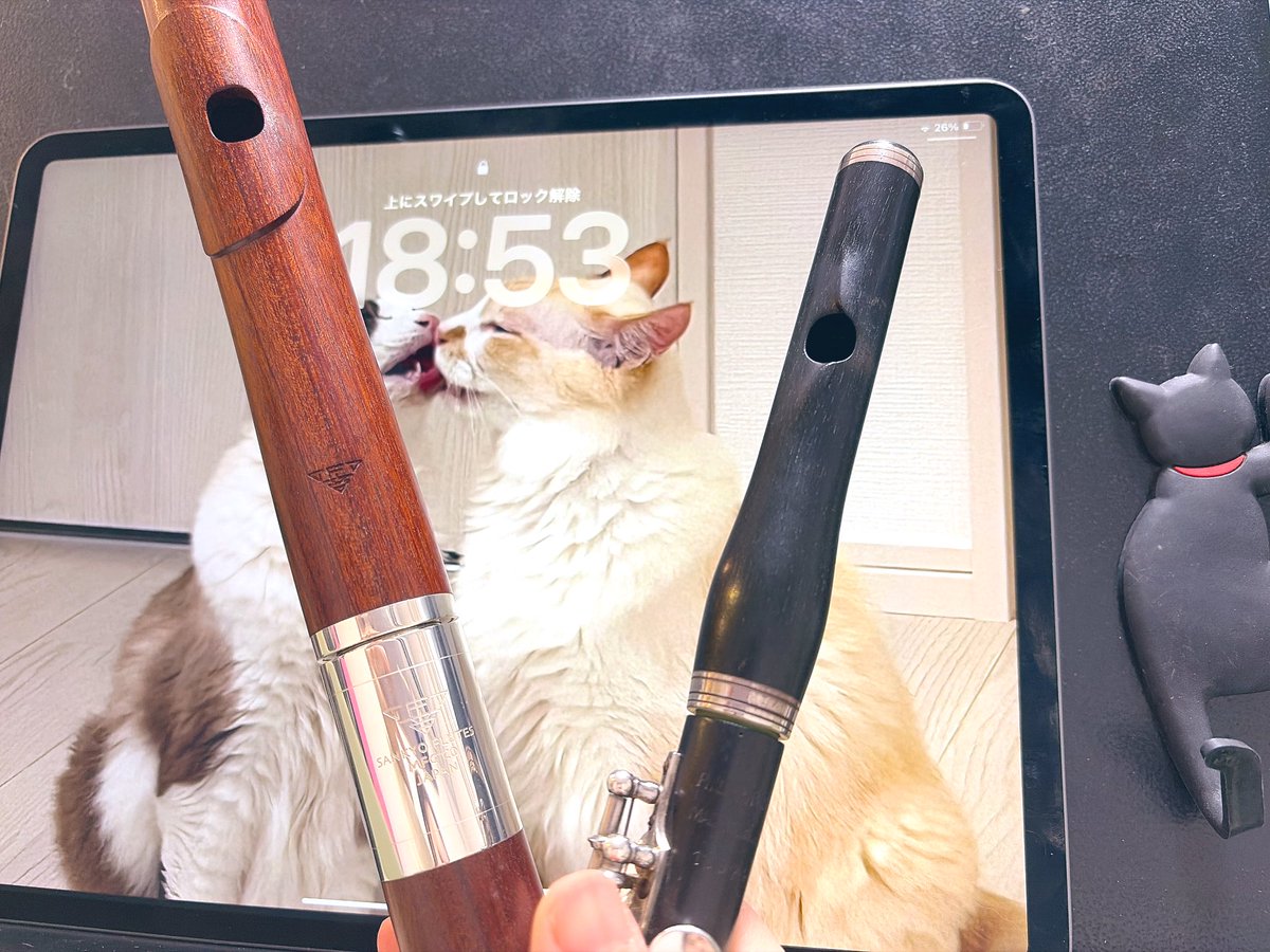 佐々木華 Hana Sasaki フルート Flute tweet media