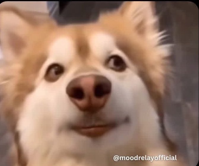 Big El 🏝️ tweet media