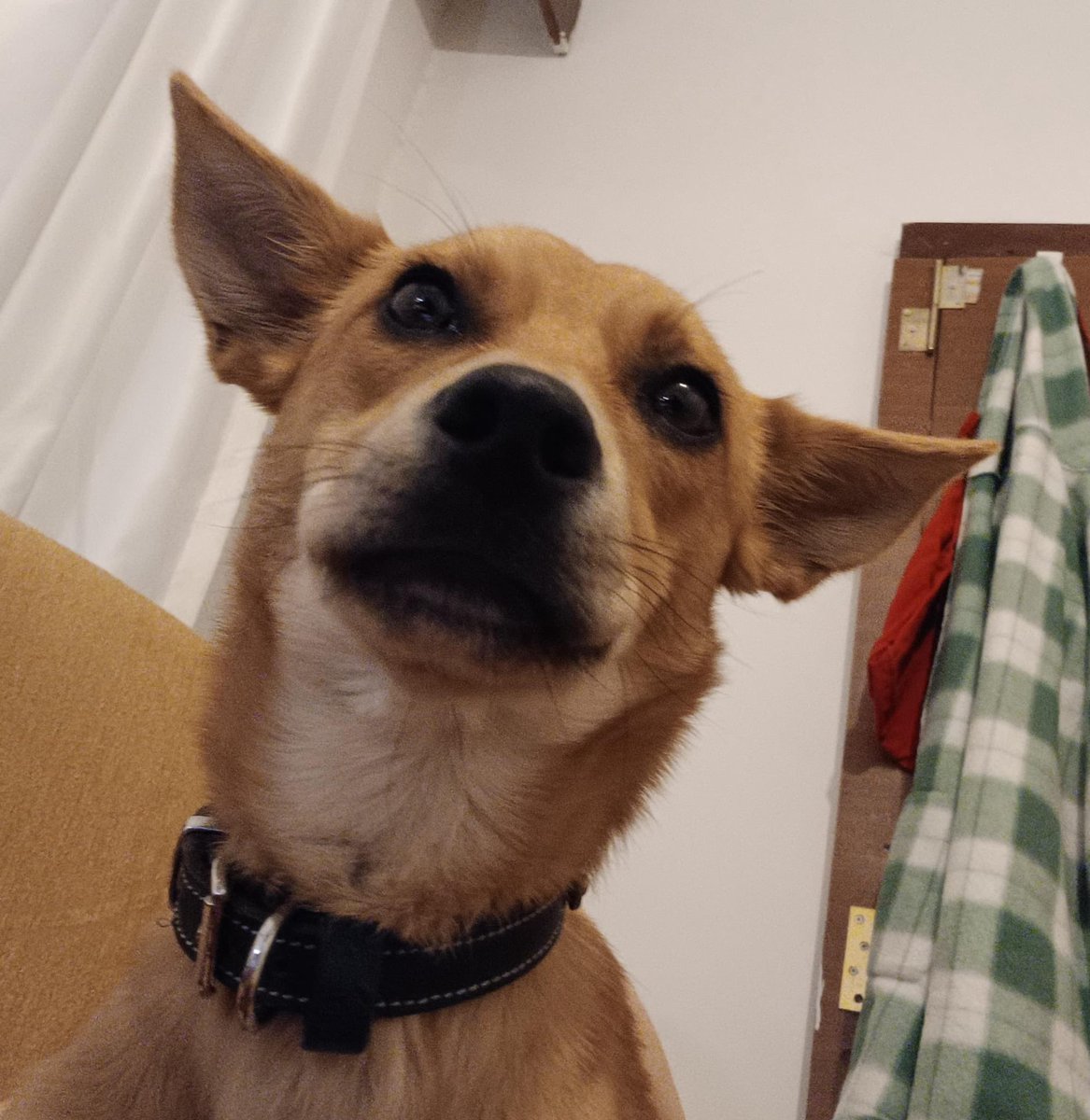 NeE?!? Yuva için bana tek bir kişi bile mesaj atmadı mı 😢