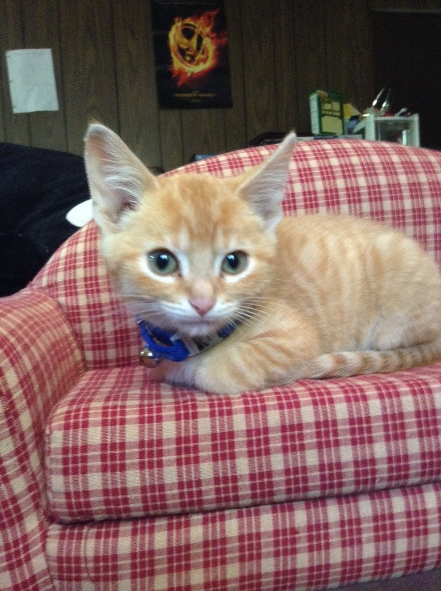 Jörg Rainer tweet media