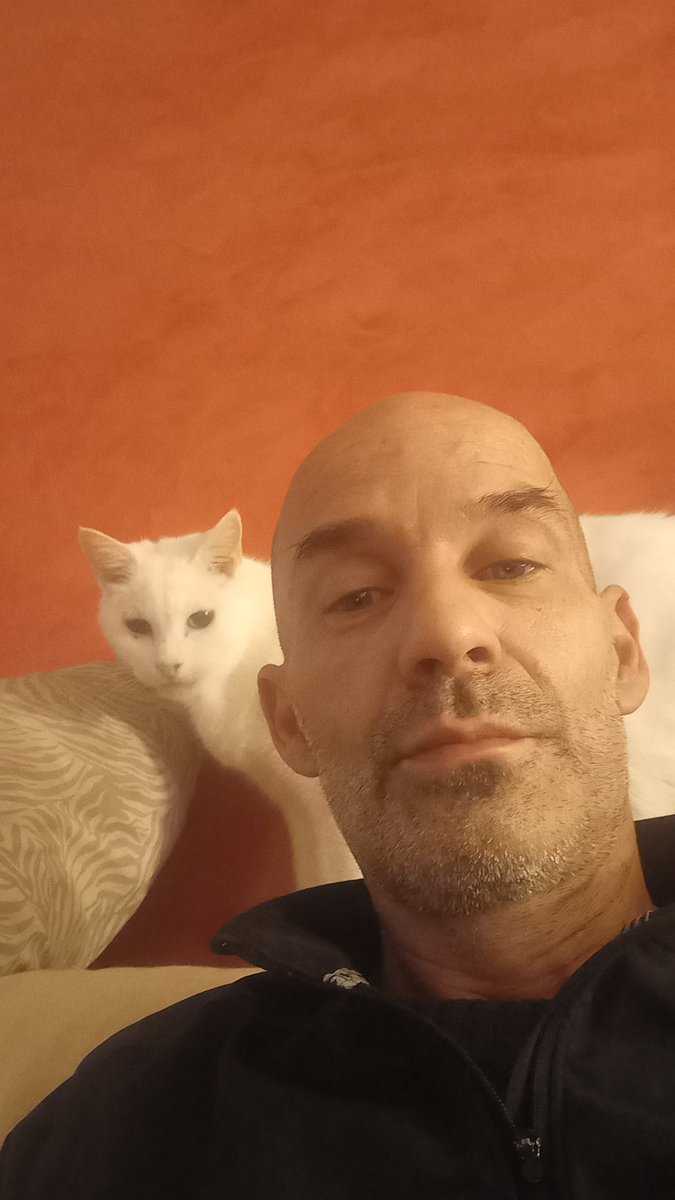 Chapi🐷 tweet media