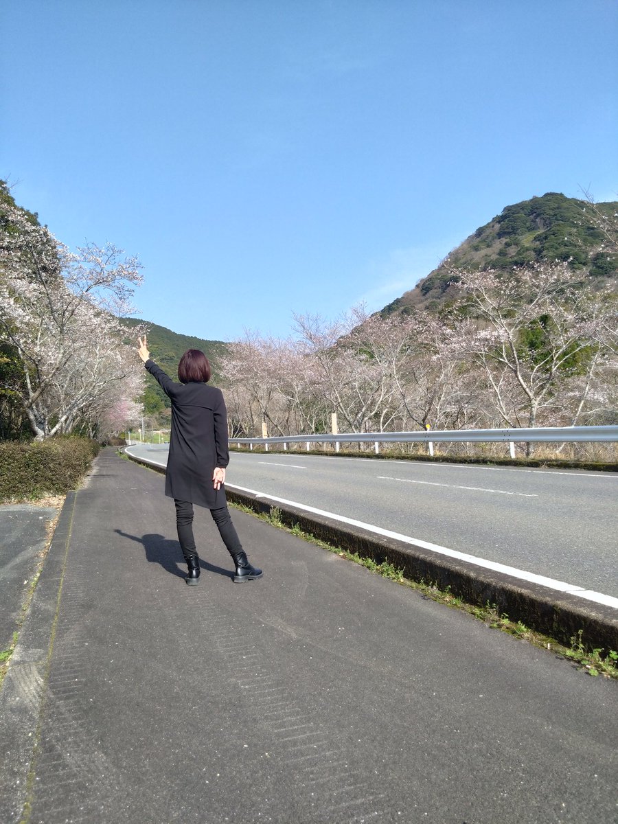 nico ringo🍎 tweet media