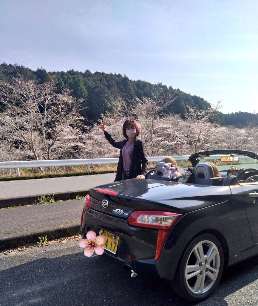 nico ringo🍎 tweet media