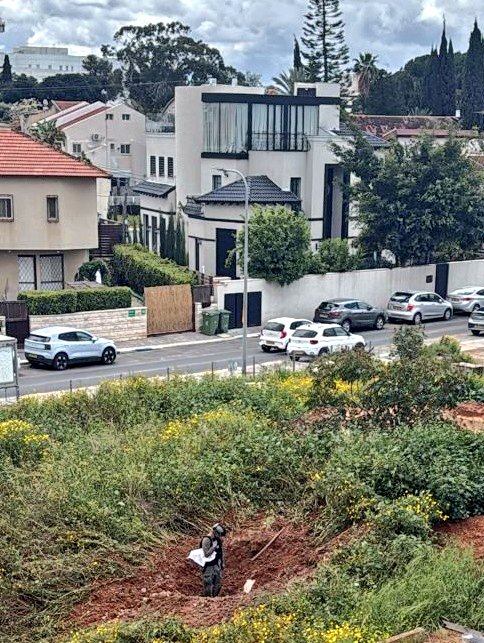 יוסי מזרחי Yossi Mizrachi tweet media