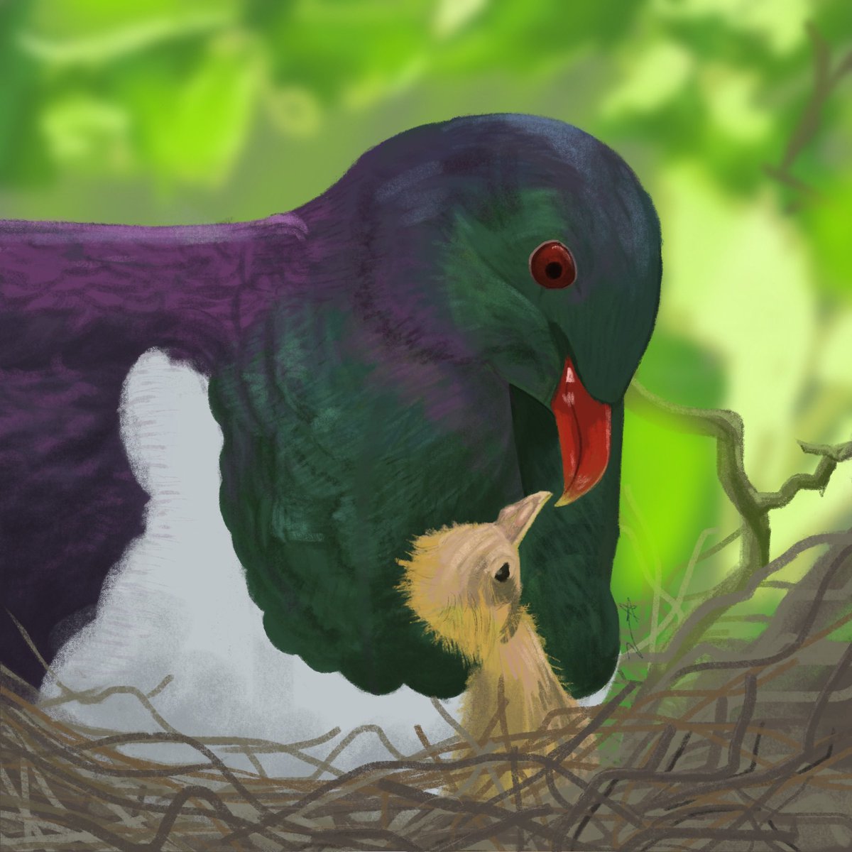 AhNahhArt's tweet photo. Kererū mama
#nzart #nzartist #art #digitalart #artist #newzealandart https://t.co/V8Fdxy1I8a