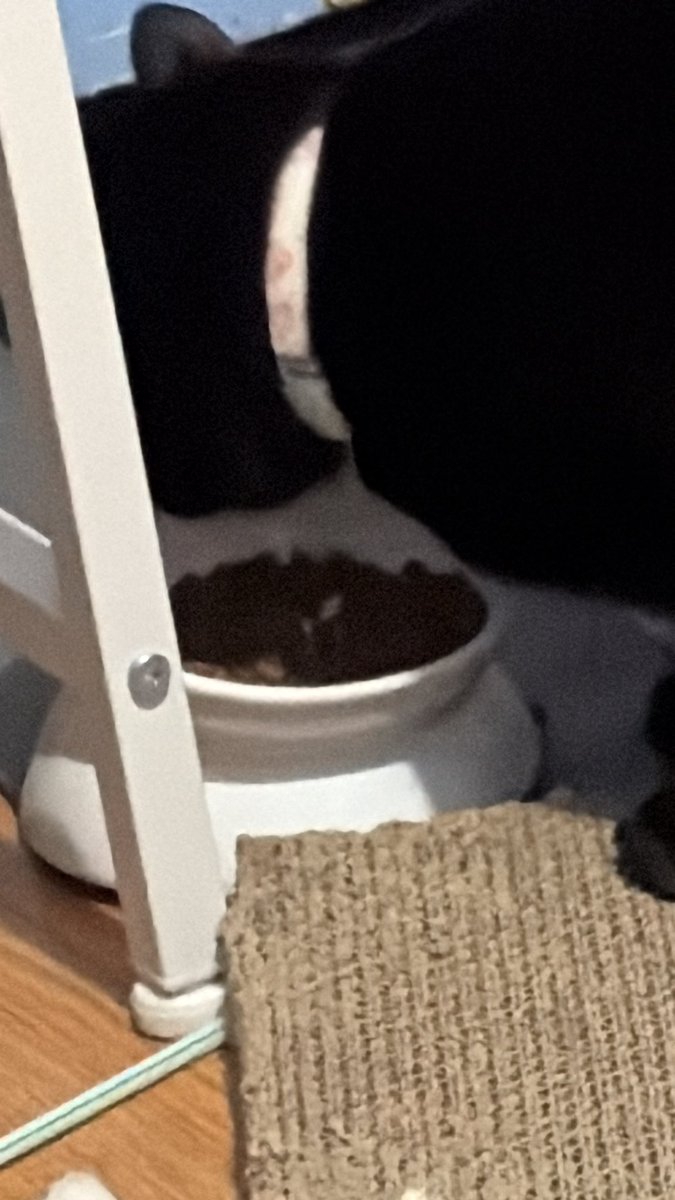 abby ♥︎ tweet media