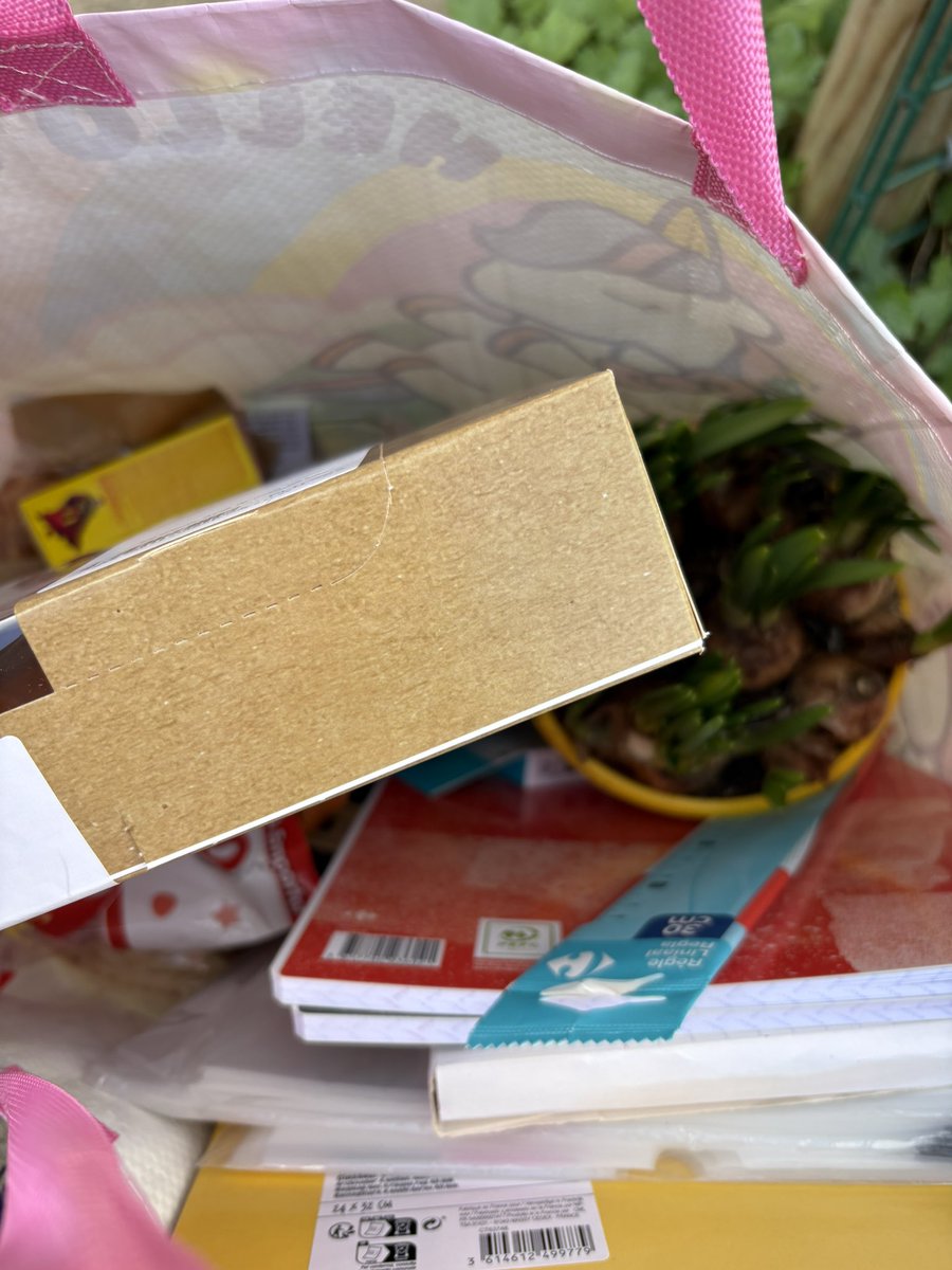 lord Clément de Winter 🍁👨🏼‍🏫🍂🍄 tweet media