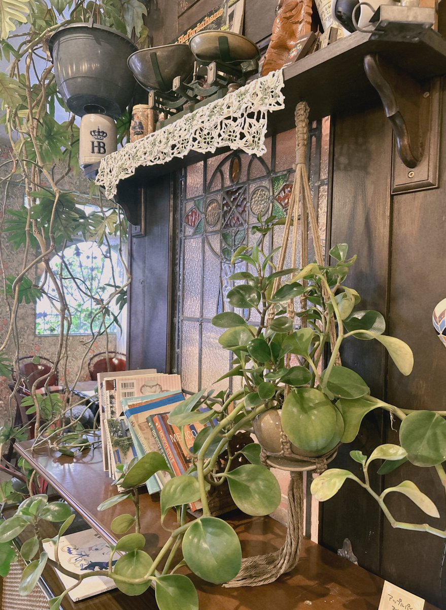 海恋 ໒꒱·̩͙⋆.*・゚ tweet media